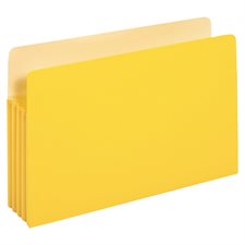 Coloured File Pocket
