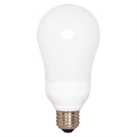 Ampoule A19 CFL
