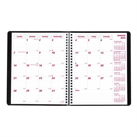 Monthly Diary (2024)