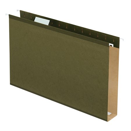 Extra Capacity Hanging File Folders with Box Bottom